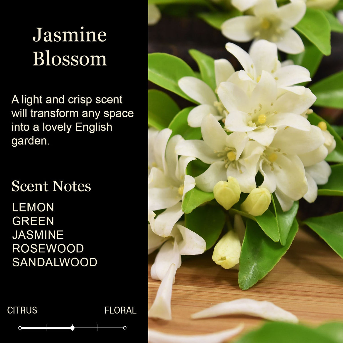 Nurse Candles - Best Nurse Ever, Jasmine Blossom Kraft Jar