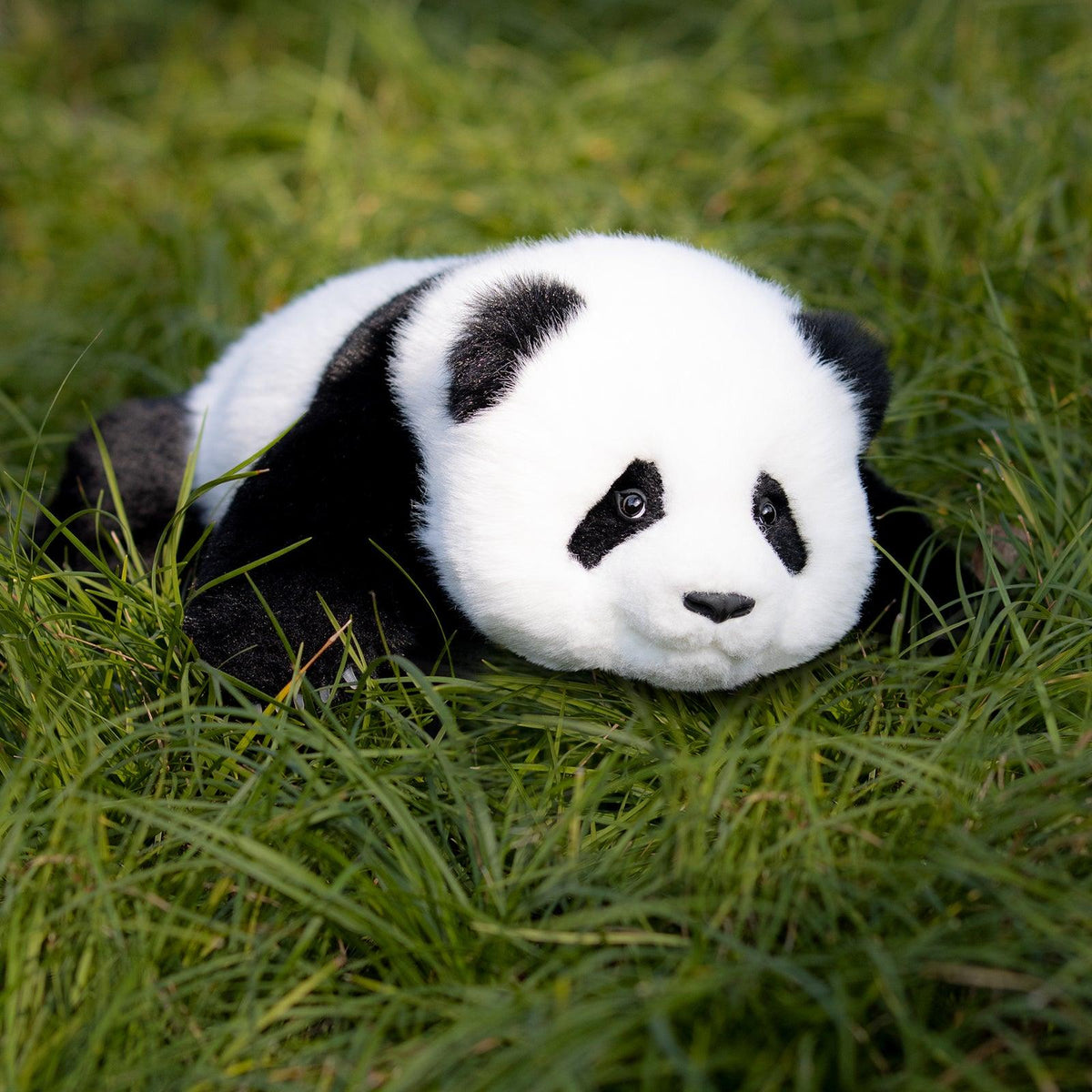 4lbs Menglan Panda Weighted – Ultra Realistic Collectible Toy