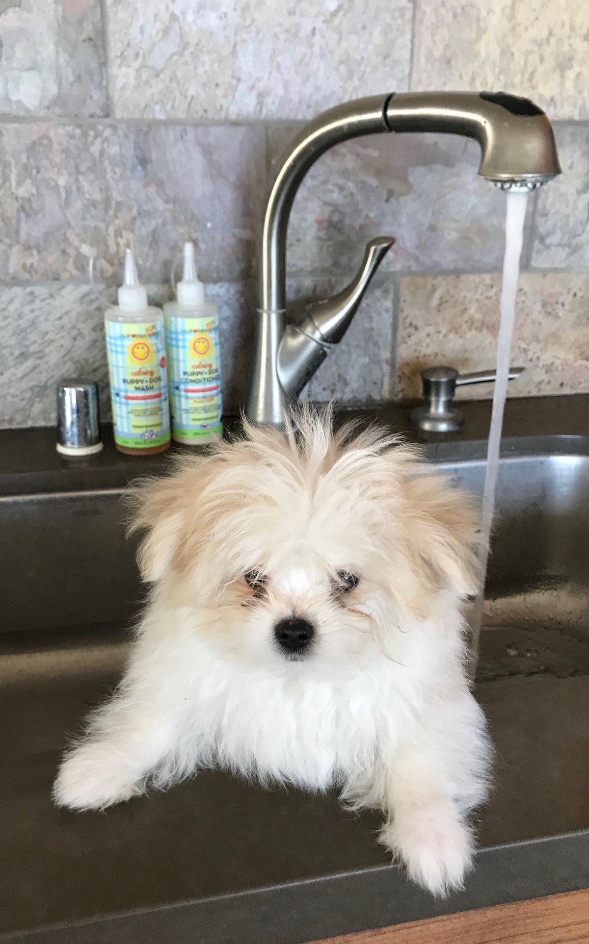 Calming™ Puppy + Dog Wash & Conditioner Set