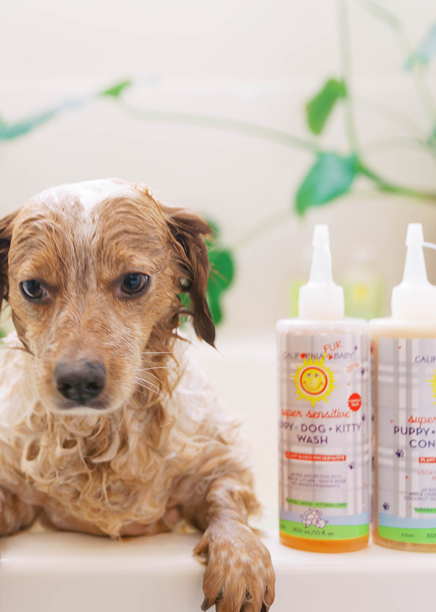 (No Fragrance) Super Sensitive™ Puppy + Dog + Kitty Wash & Conditioner Set